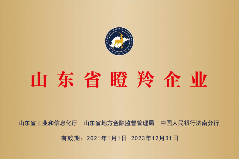 Shandong Province's gazelle enterprises