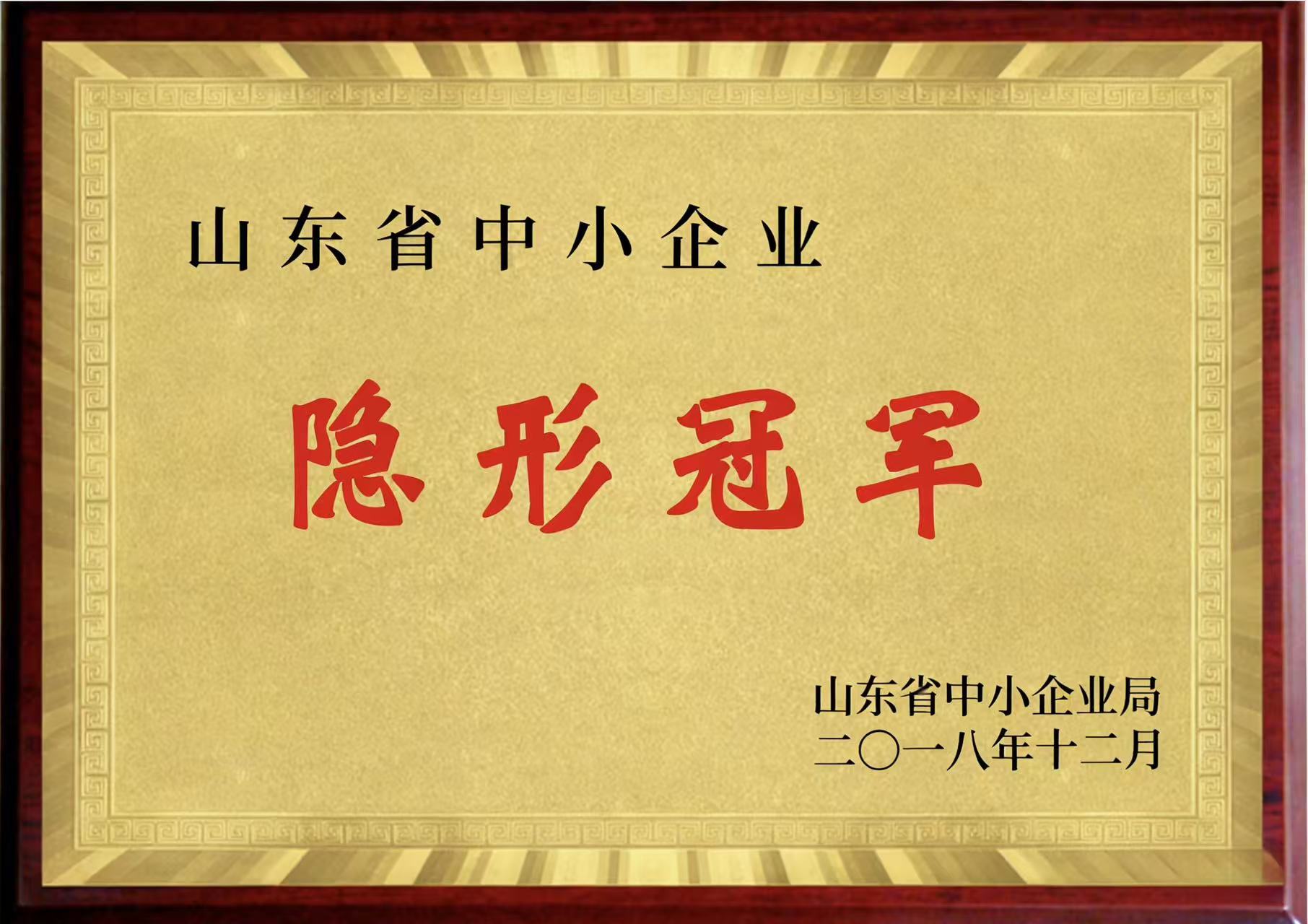 A hidden champion enterprise in Shandong Province