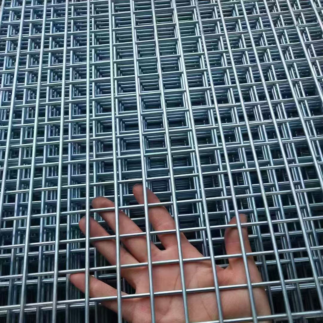 钢丝网