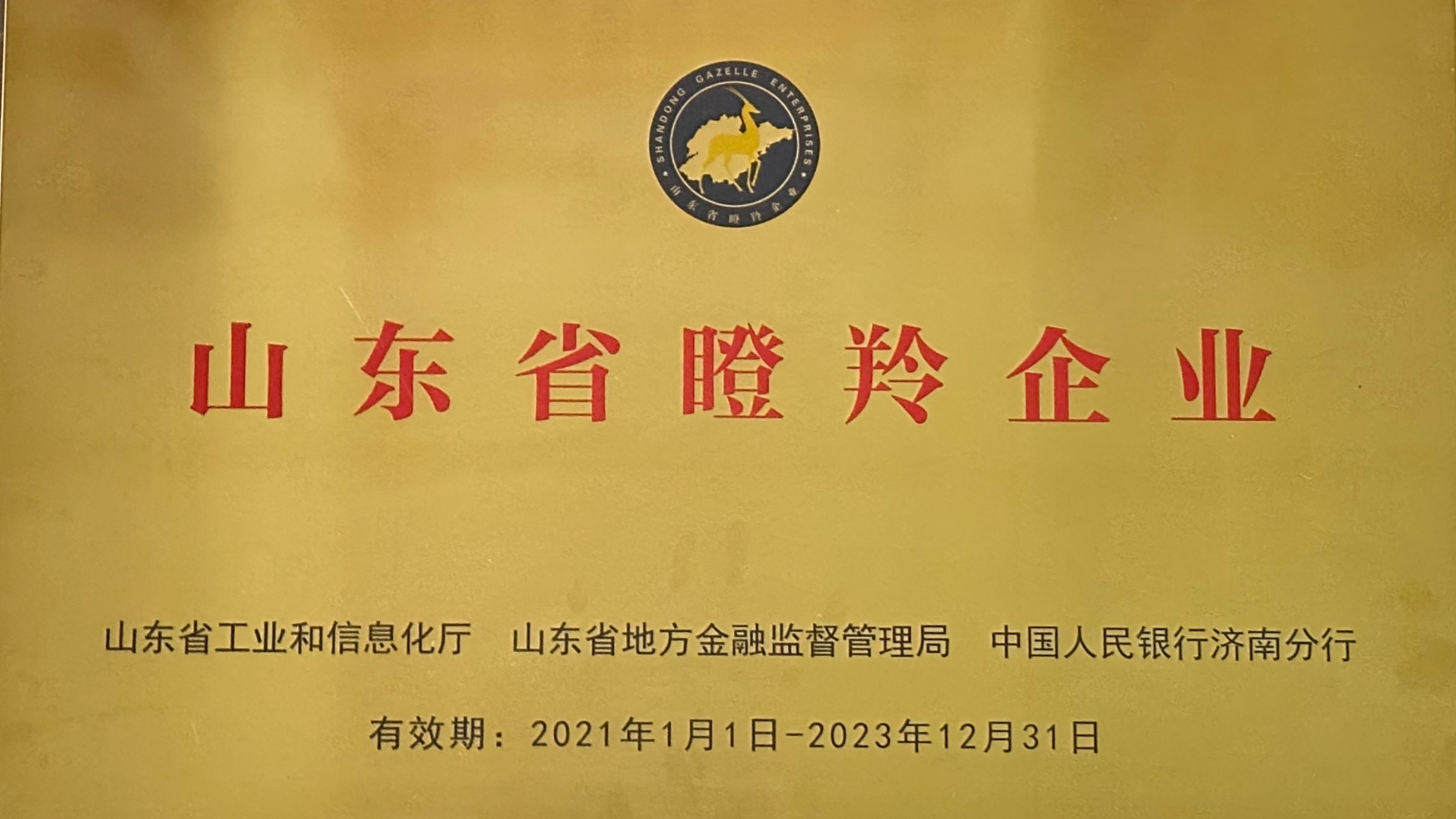 山东省瞪羚企业